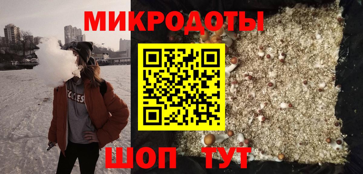 Псилоцибиновые грибы Cubensis Лосино-Петровский